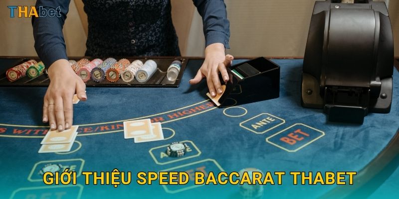 Speed Baccarat nhanh gọn – Ván bài tốc độ tại Thabet 2 Giới thiệu Speed Baccarat Thabet